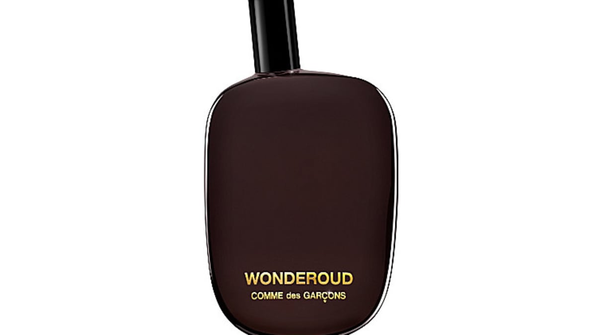 Comme des Garcons Wonderoud Acquire