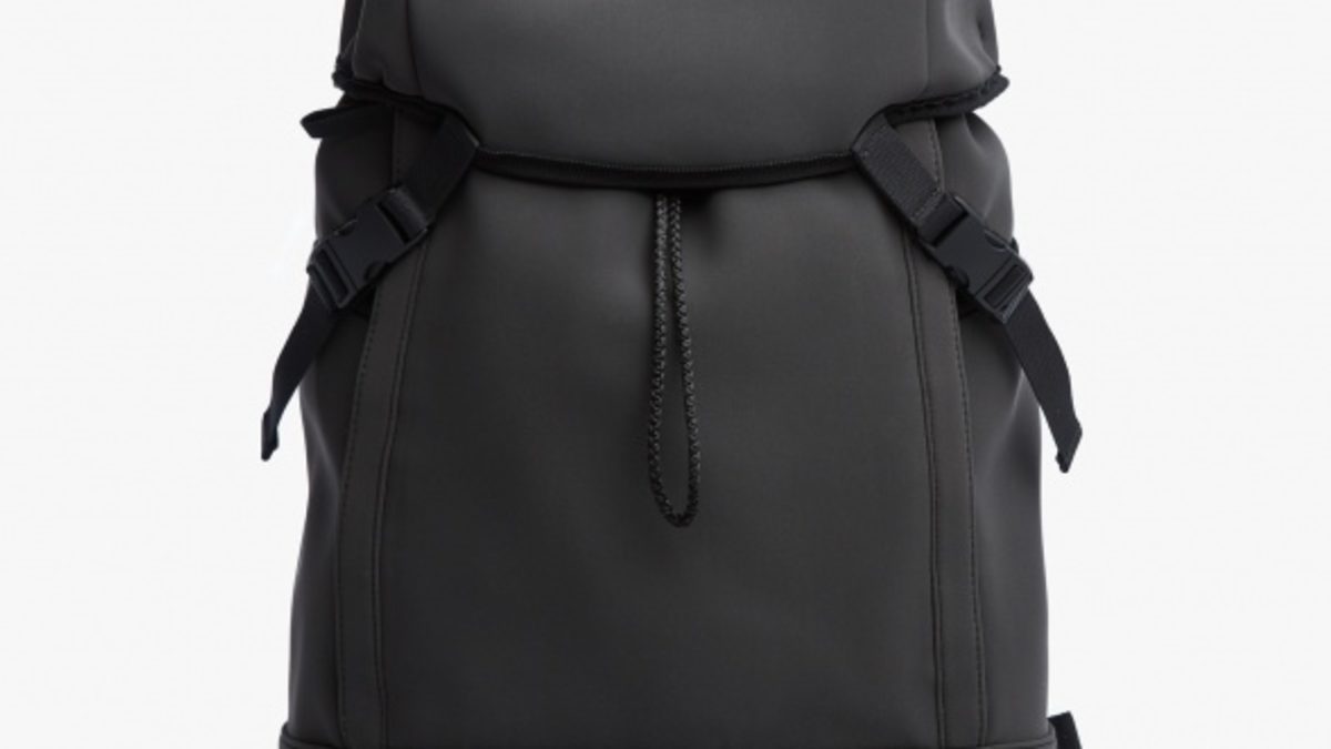James perse cheap backpack