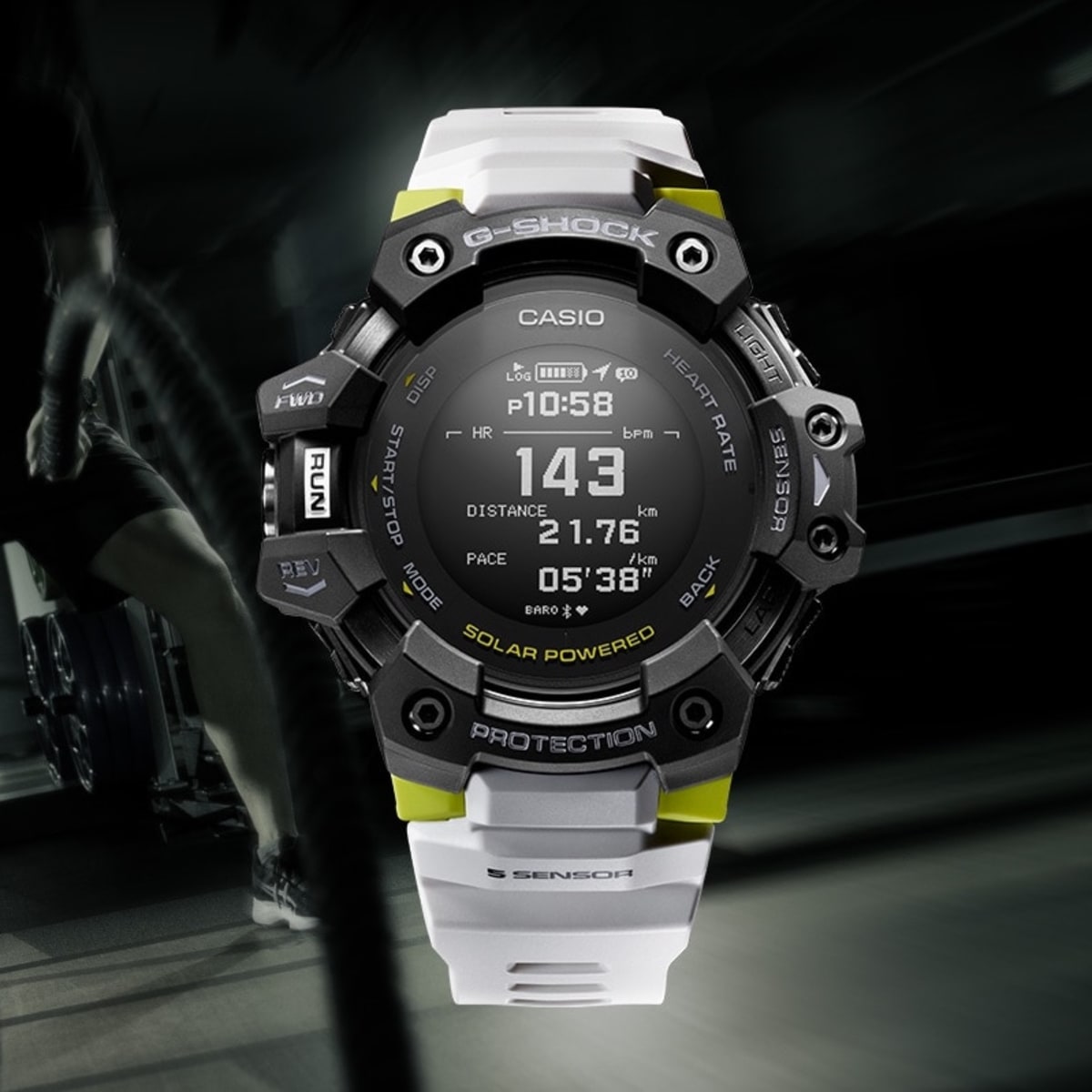 rate of casio