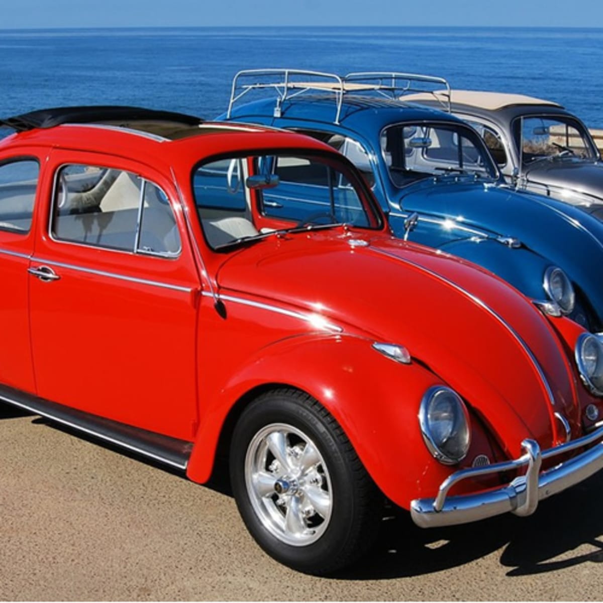 Zelectric bug store for sale