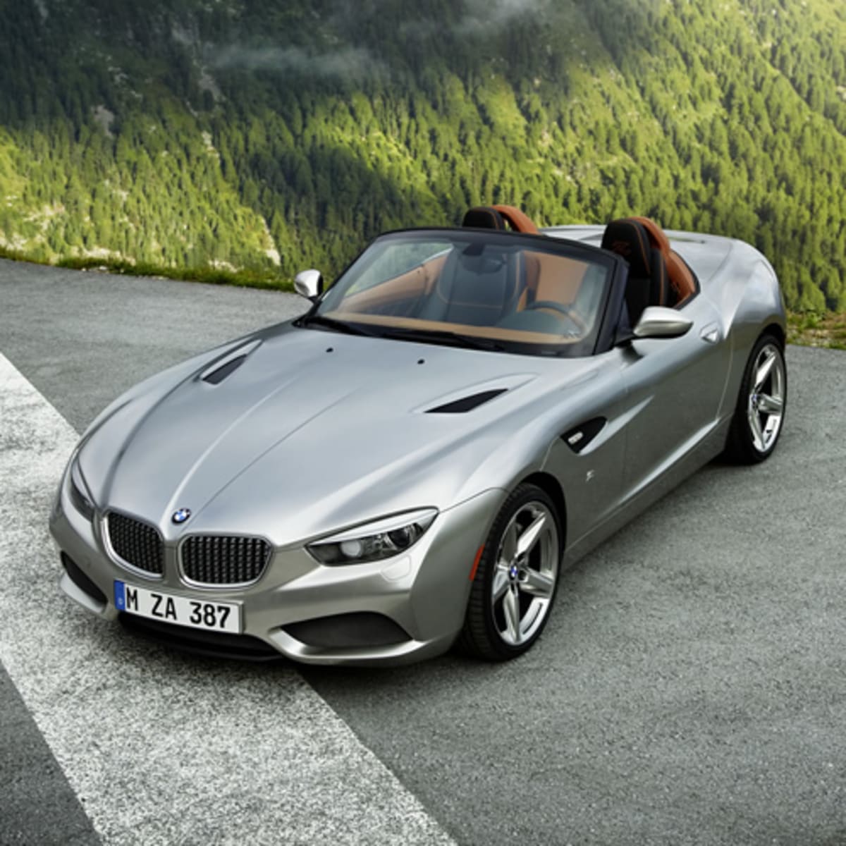 BMW Zagato Roadster Acquire
