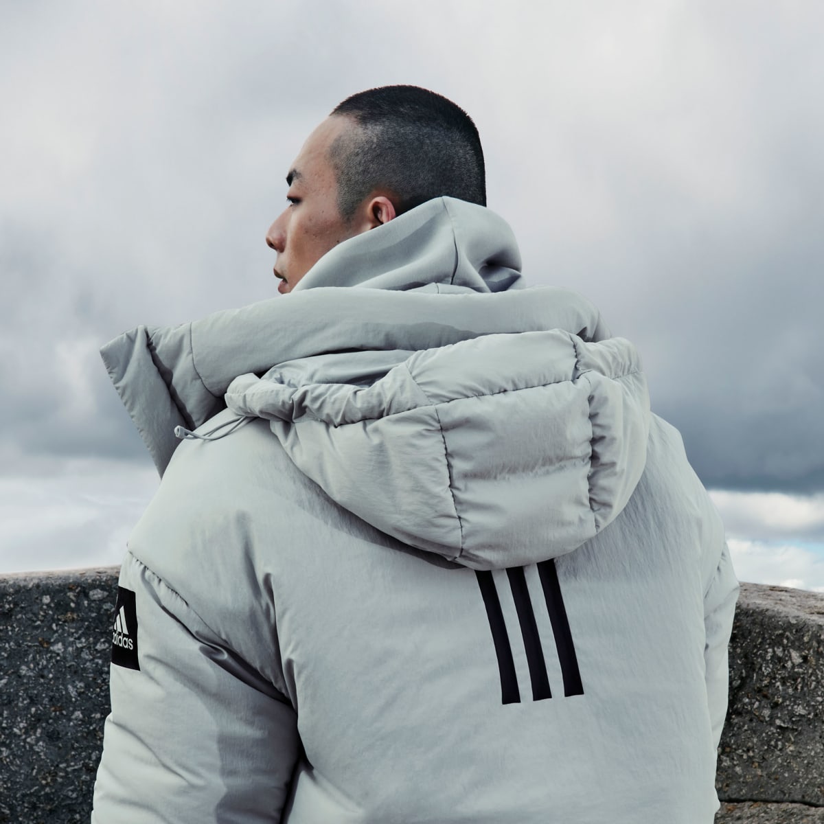 Myshelter adidas 2025