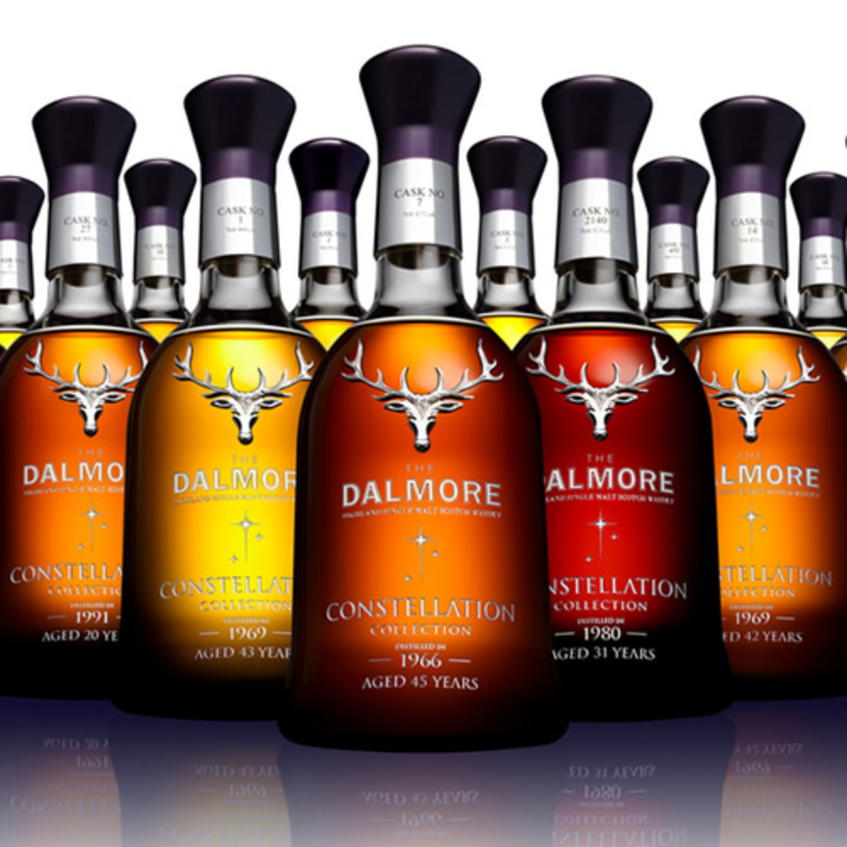 dalmore t shirt
