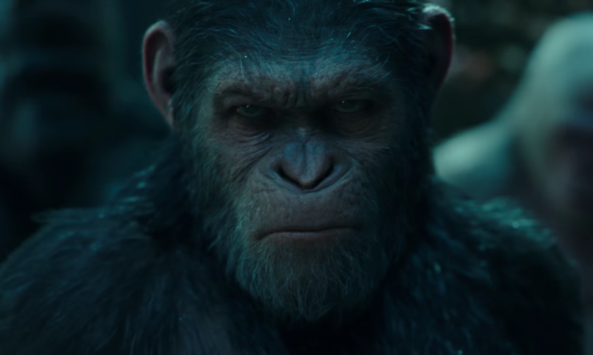 Планета обезьян 2024 год. Энди Сёркис Планета обезьян. Стив зан Планета обезьян. Карин Коновал Планета обезьян.